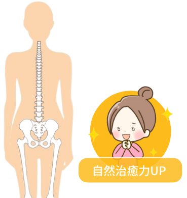 【正常な背骨】治せる身体のイメージ画像